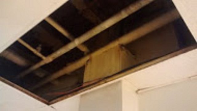 Alms ceiling_large