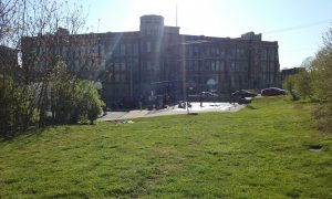 Keep Our Courts greenspace across from Rothenberg Photo: Dr. Mark Mussman