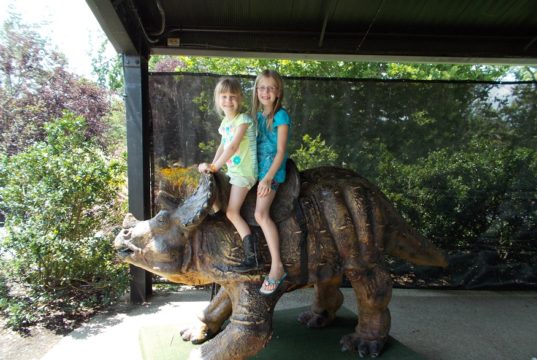 Two Young Family Members in the Saddle at the Petting Zoo